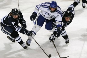马拉维男篮在非洲锦标赛中夺冠，历史新篇章开启，非洲国家马拉维共和国简介