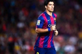 张雨霏登上另一座山顶，背后有哪些关键因素？，张雨霏的